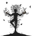 Tree soul, spirit of the forest, birds return to the alive tree,