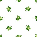 Tree soursop pattern seamless vector