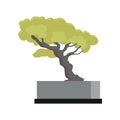 Tree Souvenir Accessoire. Money Tree Icon Royalty Free Stock Photo