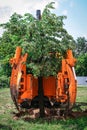 Tree spade planting tree