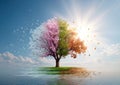 Tree of Seasons: A Visual Representation of Change and Time Royalty Free Stock Photo