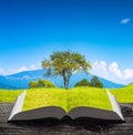 Tree on a spring grassy meadow on a book Royalty Free Stock Photo