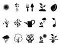 Tree sprout growing icons set