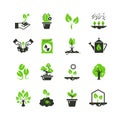 Tree sprout and plants vector icons. Seedling and hand planting pictograms