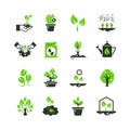 Tree sprout and plants vector icons. Seedling and hand planting pictograms