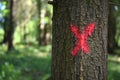 Tree marked for felling cutdown Royalty Free Stock Photo