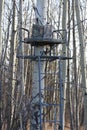Tree stand Royalty Free Stock Photo