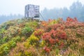 Tree stand on a hill with autumn colors Royalty Free Stock Photo