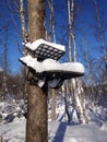 Tree stand with snow
