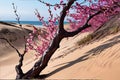 A tree that is standing in the sand by the water Royalty Free Stock Photo