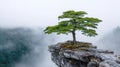 Tree Standing Strong on a Cliff Edge Overlooking Misty Valleys, Symbolizing Resilience and Strength Royalty Free Stock Photo