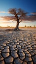 Tree stands in cracked earth, depicting climate crisis, water scarcity from global warming