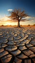 Tree stands in cracked earth, depicting climate crisis, water scarcity from global warming