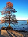 Waterfront in New Bern, North Carolina