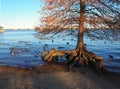 Waterfront in New Bern, North Carolina