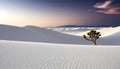 a tree stands in the sand with the sunset behind it