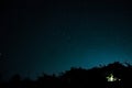 Tree in the starry sky on a cloudless night. Silhouette Trees Against Sky At Night