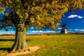 Tree and statue on a battlefield at Gettysburg, Pennsylvania. Royalty Free Stock Photo