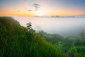 Tree on a steep bank of the morning river horizontal background Royalty Free Stock Photo