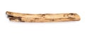 Tree stick isolated Royalty Free Stock Photo