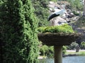 Tree, stork in nest, water of pond in Kotka, Finland Royalty Free Stock Photo