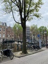 Tree on the street with bicycles and bridge along the canal and old buildings of Amsterdam in the city of Amsterdam Royalty Free Stock Photo