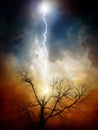 Tree struck by lightning Royalty Free Stock Photo