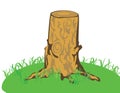 A tree stub