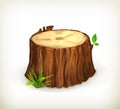 Tree stump Royalty Free Stock Photo