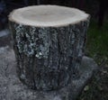 A tree stump that on a cement base Royalty Free Stock Photo