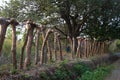 Tree Stump Country Road Fence Royalty Free Stock Photo