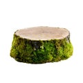 Tree stump covered by moss isolated on transparent background, ideal for image editing and compositing Royalty Free Stock Photo