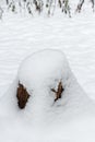 tree stump covered with snow cap in winter Park Royalty Free Stock Photo
