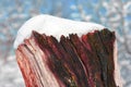 Tree stump covered with white fluffy snow close up detail, winter