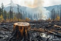 Tree stump in foreground of smoldering forest after wildfire Royalty Free Stock Photo