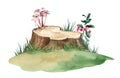 Tree stump with grass. Watercolor realistic illustration Royalty Free Stock Photo