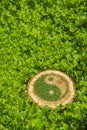 Tree stump on the grass with ying yang symbol Royalty Free Stock Photo