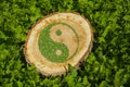 Tree stump on the grass with ying yang symbol Royalty Free Stock Photo