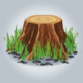 Tree stump with green grass Royalty Free Stock Photo