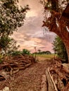 A tree stump is in the middle of a path with fields and meadows in the background Royalty Free Stock Photo