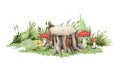 Tree stump with mushrooms and grass background. Watercolor illustration. Forest wildlife nature scene. Hand drawn mossy