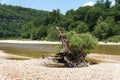 Tree stump by the rocks near Buffalo River, Yellville, Arkansas, U.S Royalty Free Stock Photo