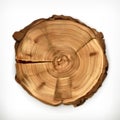 Tree stump, round cut with annual rings Royalty Free Stock Photo