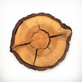 Tree stump, round cut with annual rings