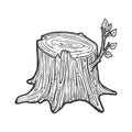 Tree stump with sprout sketch vector illustration