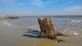 Tree stump in the surf Royalty Free Stock Photo