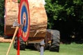 Tree Stump Target with Axe