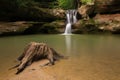 Tree Stump at Upper Falls at Old Man's Cave, Hocking Hills State Park, Ohio. Royalty Free Stock Photo