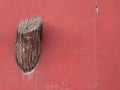 Tree stump on the wall