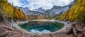 Tree stumps after deforestation near Hinterer Gosausee lake, Upper Austria. Autumn Alps mountain lake with clear transparent water